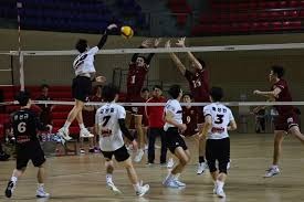 2026启东TRITON全球铁人三项赛重磅来袭，明年6月共铸铁人传奇！